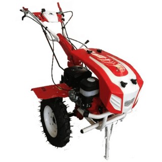 Мотокултиватор BISONTE BTA-16SGEE